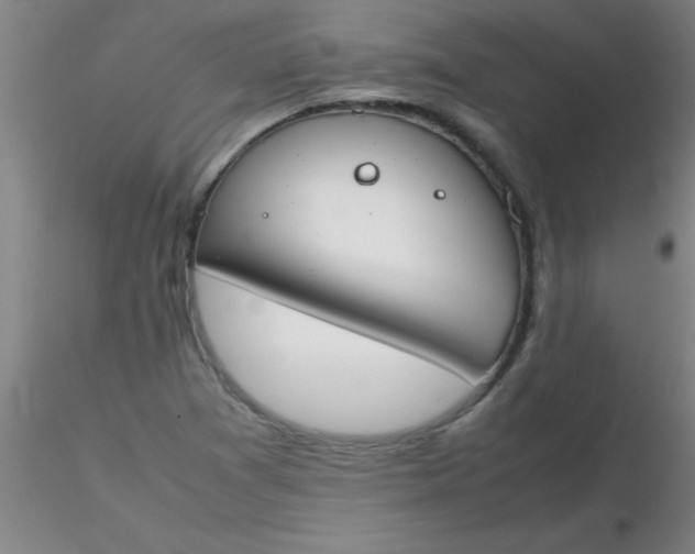 X0000116291361200912211832