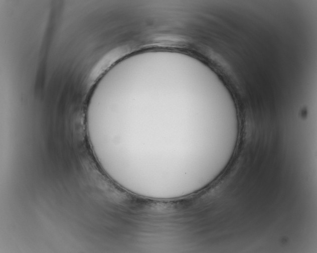 X0000116291362200912211832