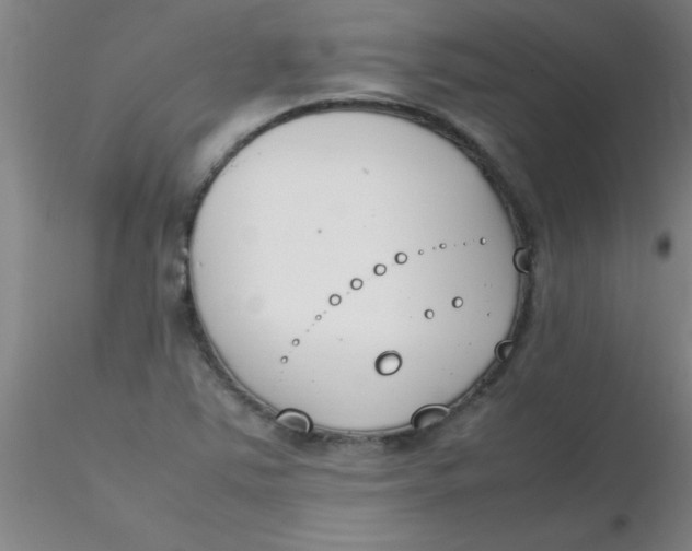 X0000116291363200912211832