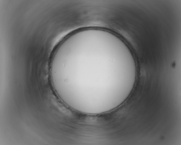 X0000116291364200912211832