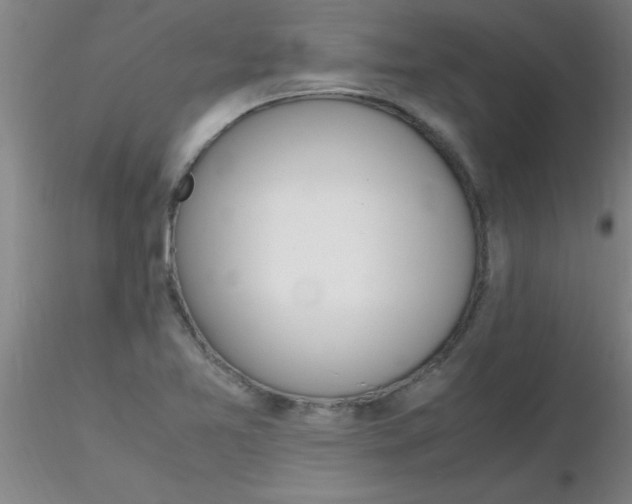 X0000116291365200912211832