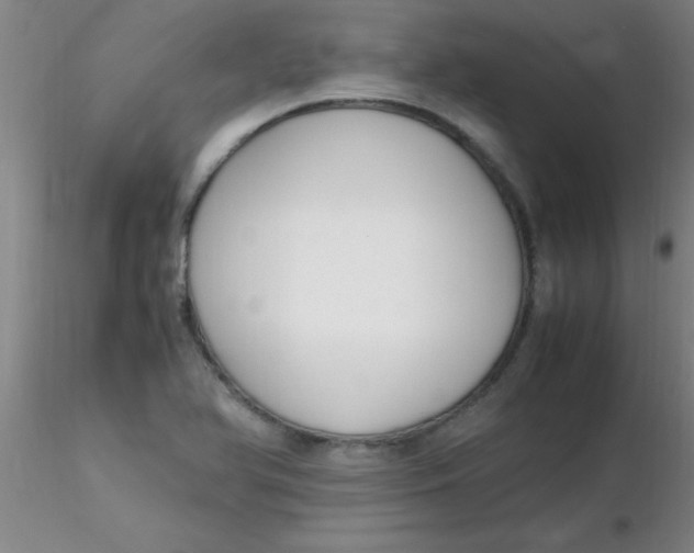 X0000116291366200912211832