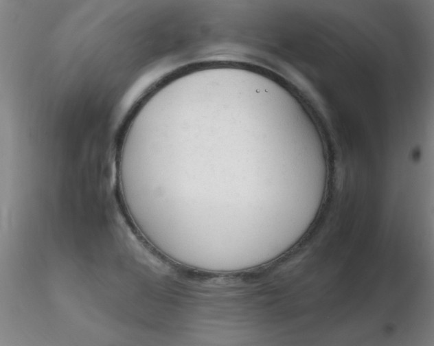 X0000116291368200912211832