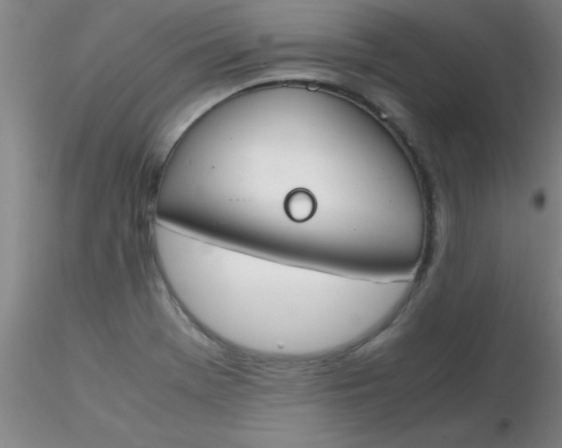 X0000116291369200912211832