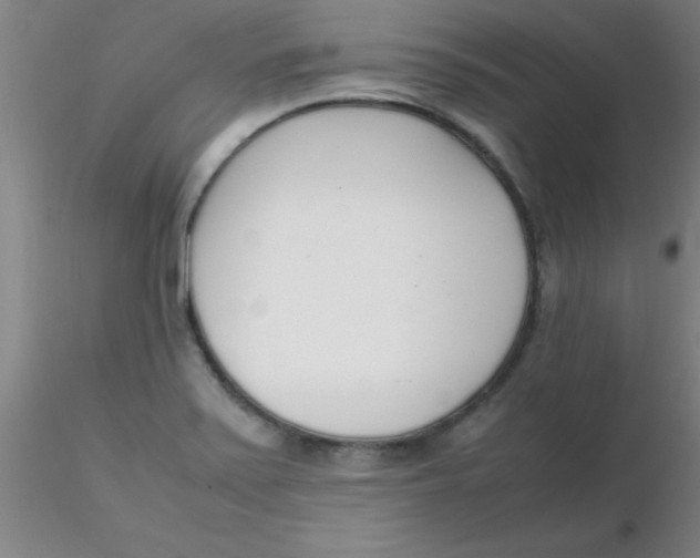 X0000116291371200912211832