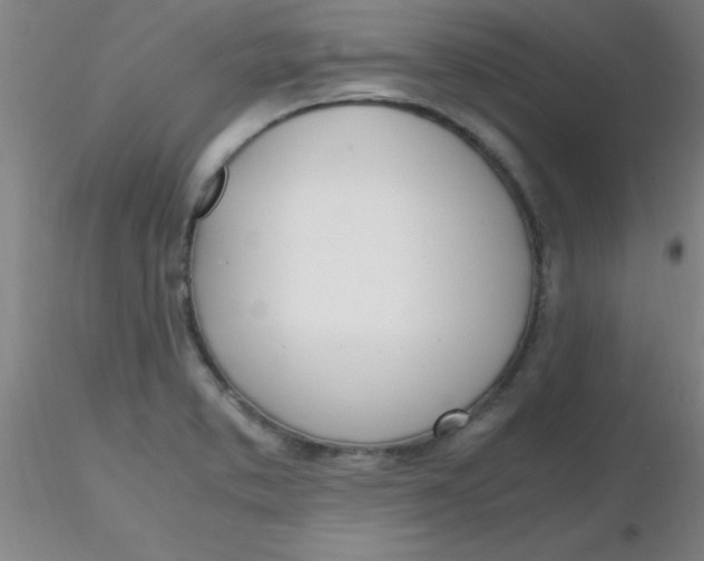 X0000116291373200912211832