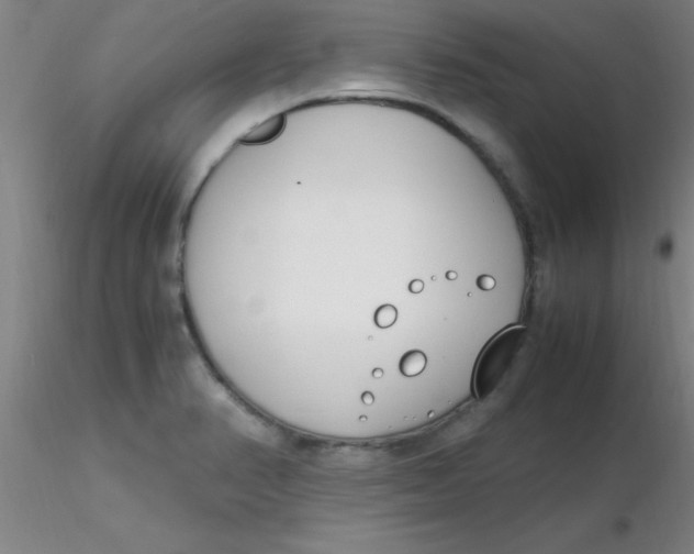 X0000116291374200912211831