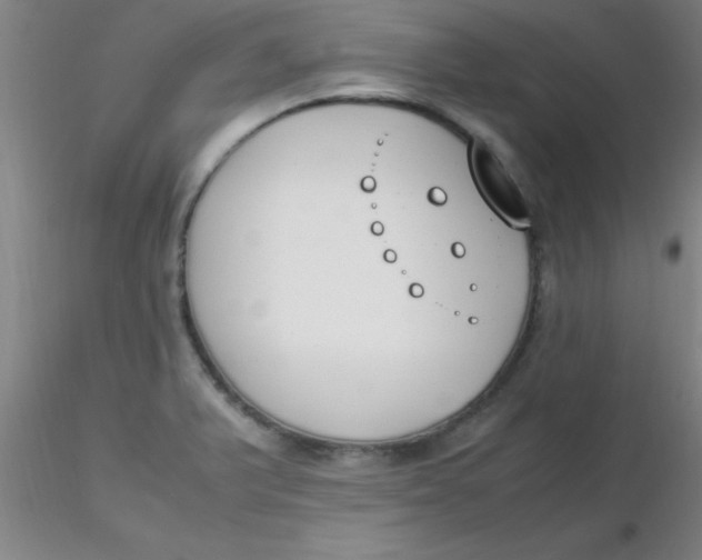 X0000116291375200912211831