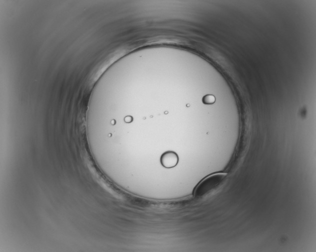 X0000116291377200912211831