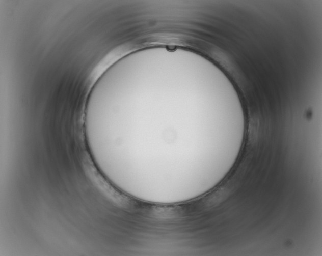 X0000116291378200912211831