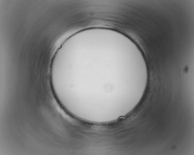 X0000116291379200912211831