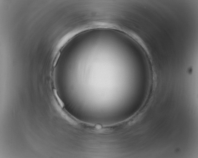 X0000116291381200912211831