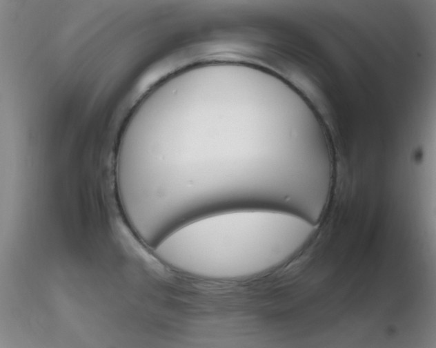 X0000116291384200912211831