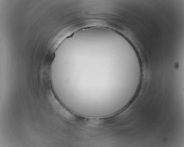 X0000116291385200912211831