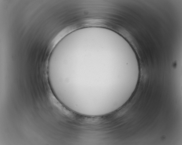 X0000116291386200912211831