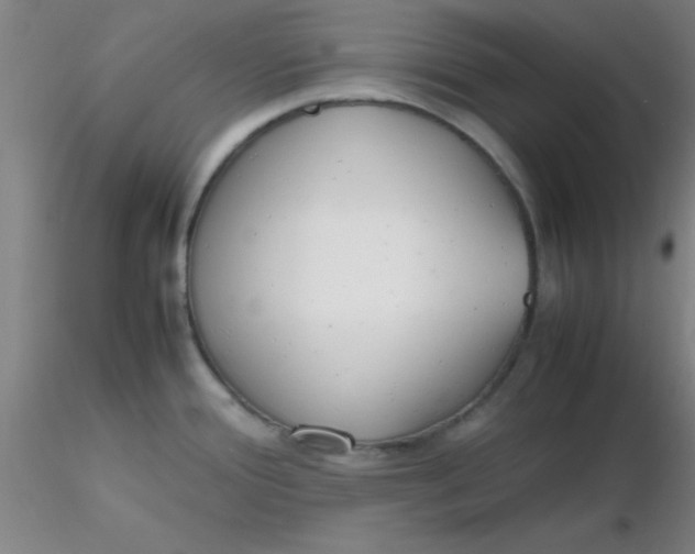 X0000116291388200912211831