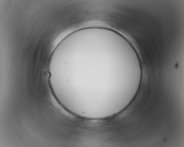 X0000116291390200912211831