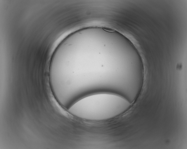 X0000116291392200912211831