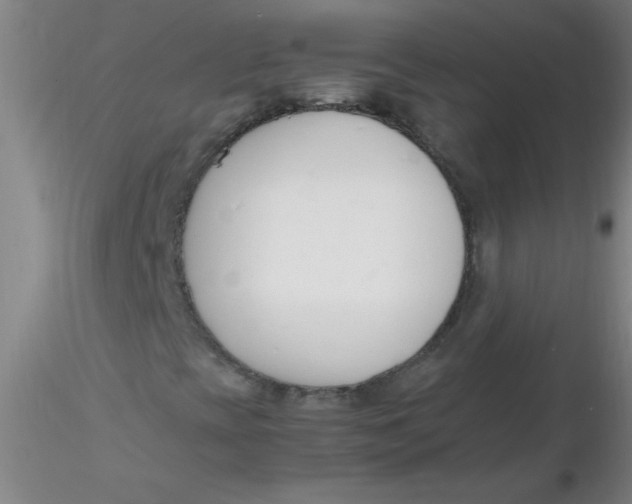 X0000116291393200912211831