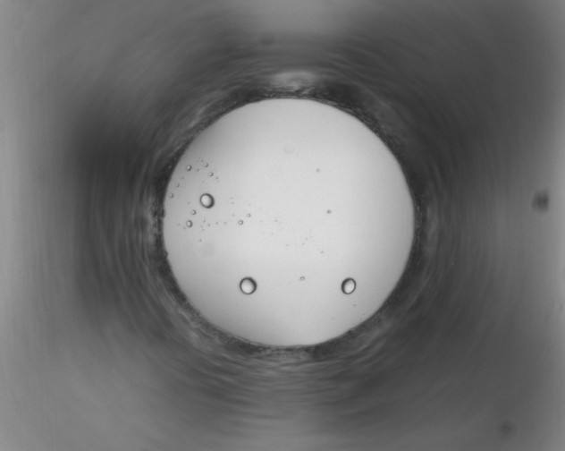 X0000116291394200912211831