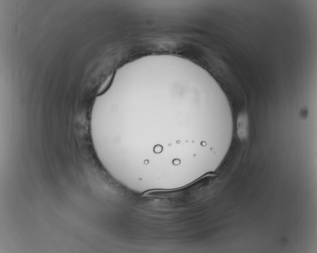 X0000116291395200912211831