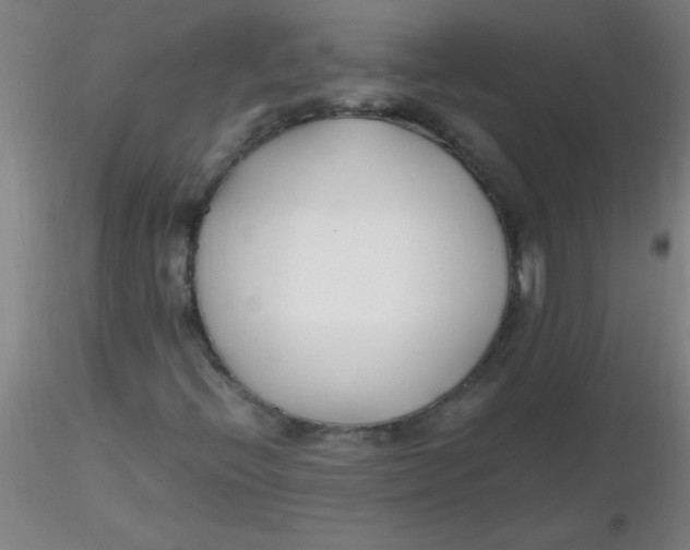 X0000116291396200912211831