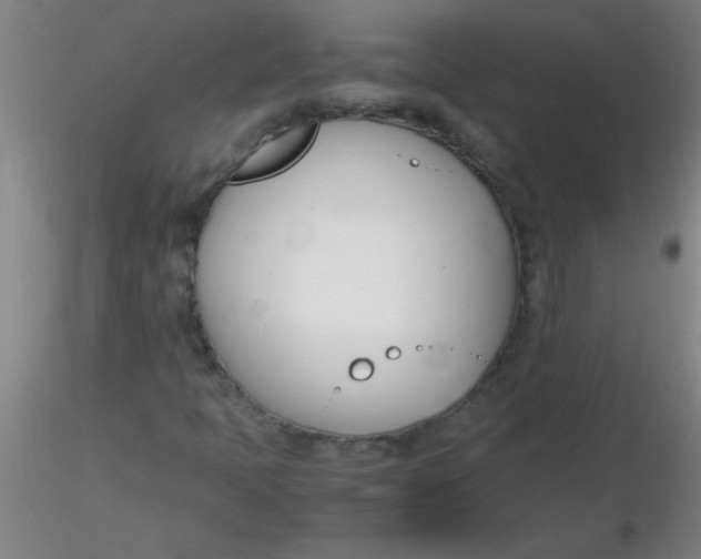 X0000116291397200912211831