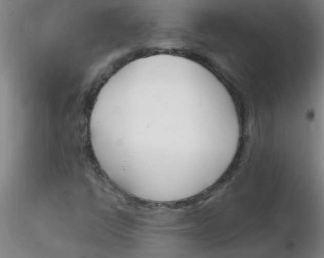 X0000116291398200912211831