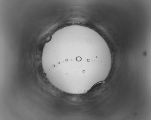 X0000116291399200912211831