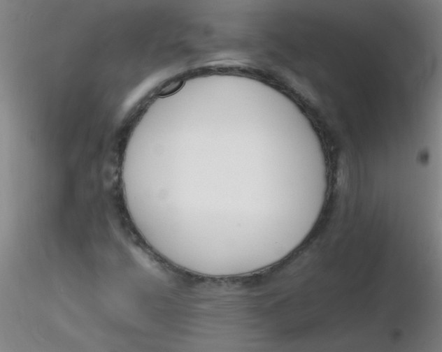 X0000116291400200912211831