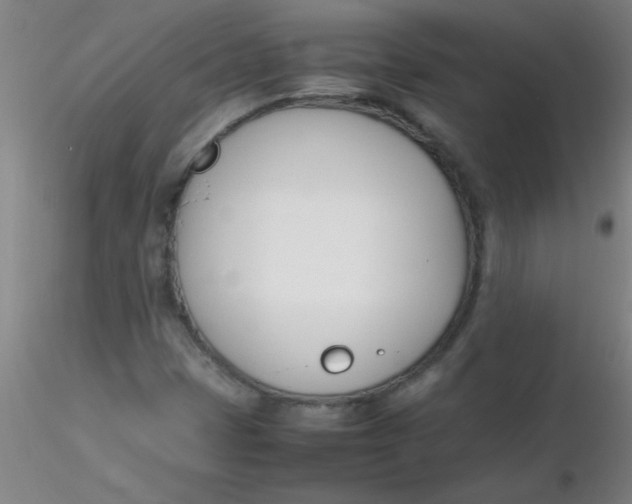 X0000116291401200912211831