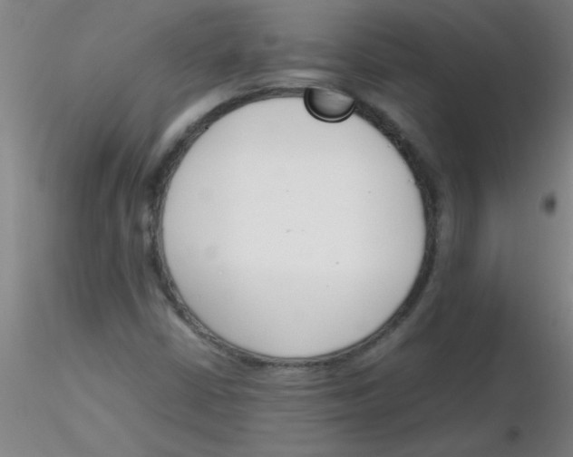 X0000116291402200912211831