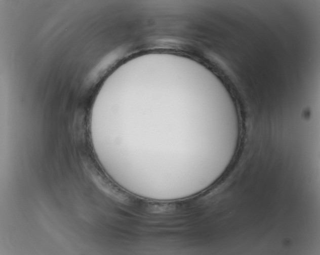 X0000116291403200912211831