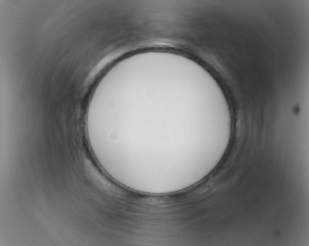 X0000116291404200912211831