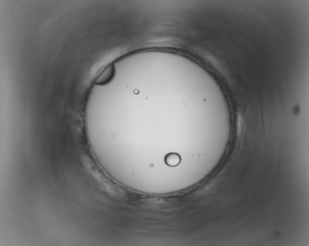 X0000116291405200912211831