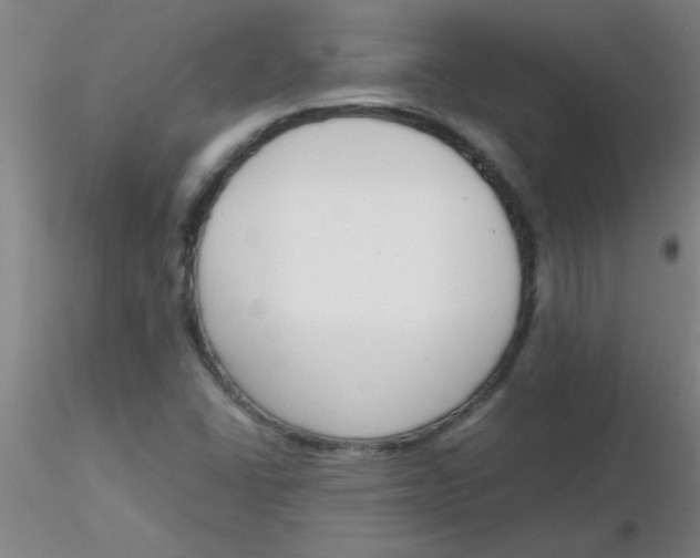 X0000116291406200912211831