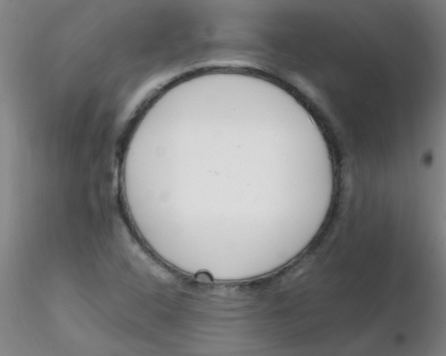 X0000116291408200912211831