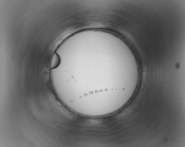 X0000116291409200912211831