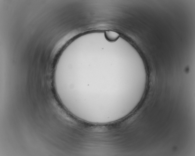 X0000116291410200912211831