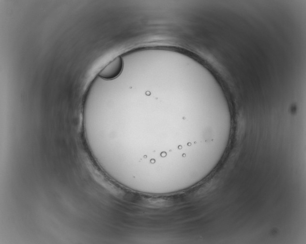 X0000116291413200912211831