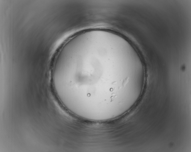 X0000116291414200912211831