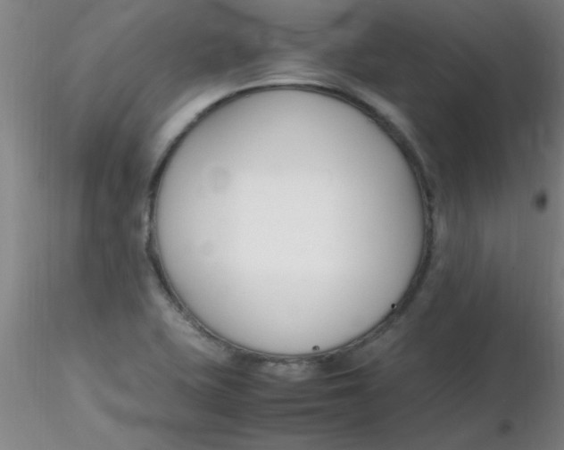 X0000116291415200912211831