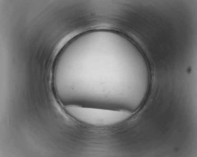 X0000116291418200912211831