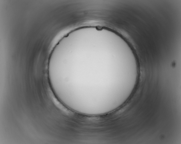 X0000116291421200912211831