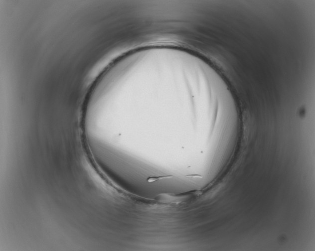 X0000116291422200912211831