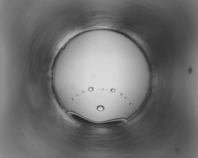 X0000116291423200912211831