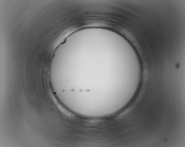 X0000116291425200912211831