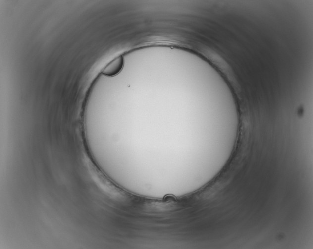 X0000116291427200912211831