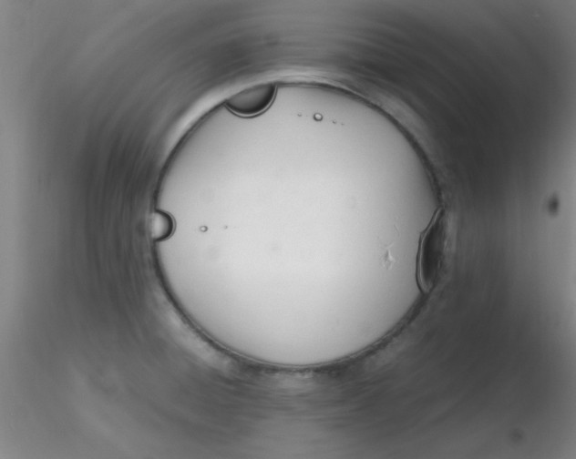 X0000116291428200912211831