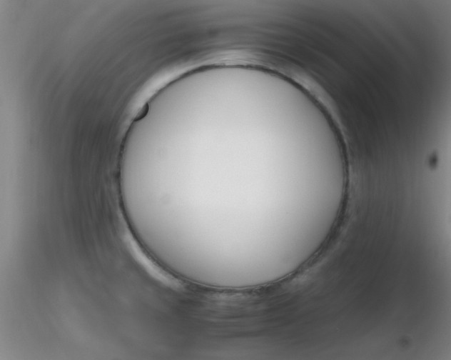 X0000116291429200912211831